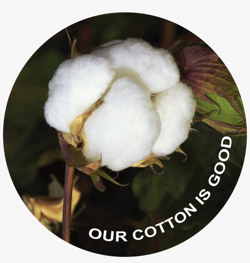 Le Chef Good Cotton Tag - Poster, transparent png download