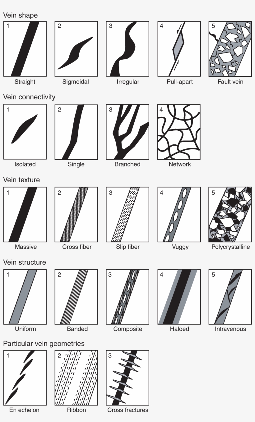 We Identified - Monochrome, transparent png download