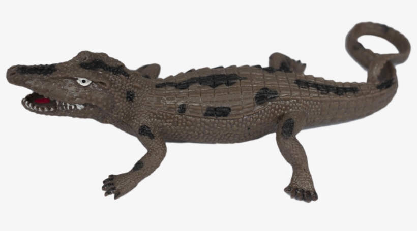Alligator King - American Crocodile, transparent png download