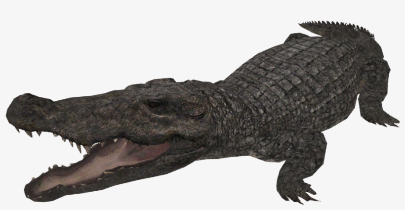 Mugger Croc, transparent png download