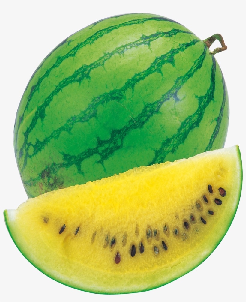 1509 X 1413 8 - Watermelon Yellow, transparent png download