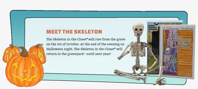 1 - Skeleton, transparent png download