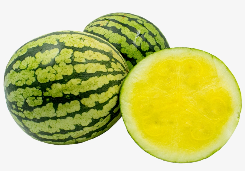 Keep Up With Us - Watermelon, transparent png download