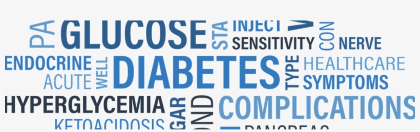 Use A Plate To Help Manage Your Diabetes - Tamarack Valley Energy, transparent png download