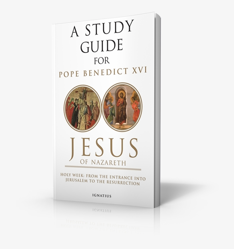 Study Guide For Jesus Of Nazareth, Part - Label, transparent png download