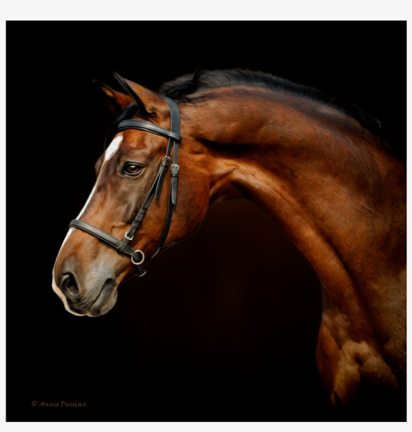 Sorrel, transparent png download