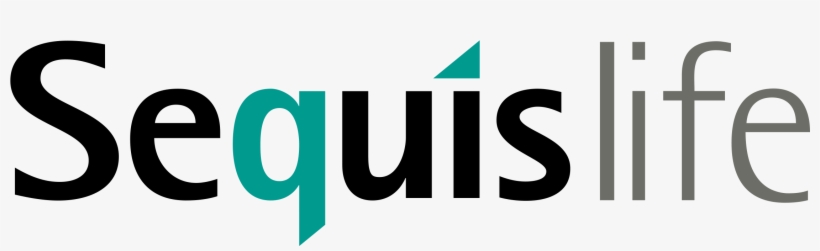 Seluruh Saham New York - Graphic Design, transparent png download