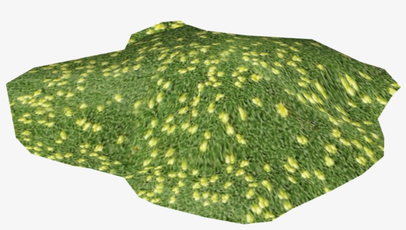 Azorella - Azorella Compacta, transparent png download
