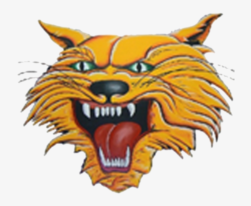 Wildcat Clipart Bearcat - Kalida High School, transparent png download