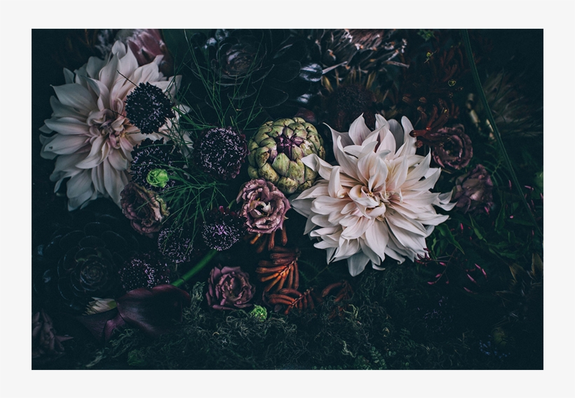 George & Edi Floral Wrapping Paper - Dahlia, transparent png download