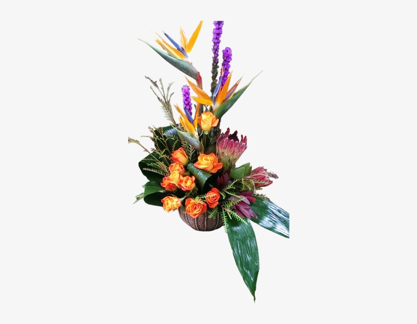 Paradise Found - Bird Of Paradise, transparent png download