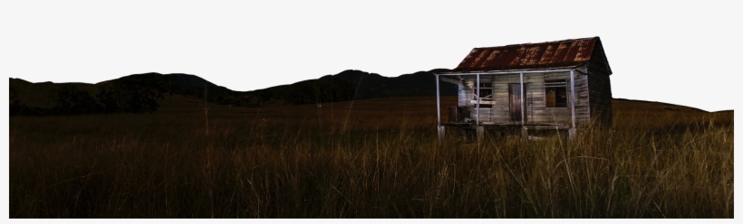 Free To Edit - Grass, transparent png download