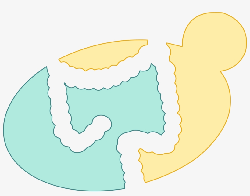 Logo - Illustration, transparent png download