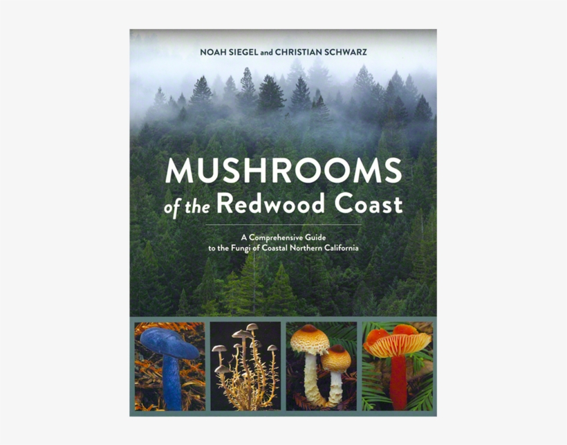 Mushrooms Of The Redwood Coast, transparent png download