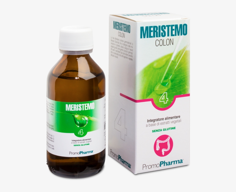 Meristemo 04 Colon - Lymph, transparent png download