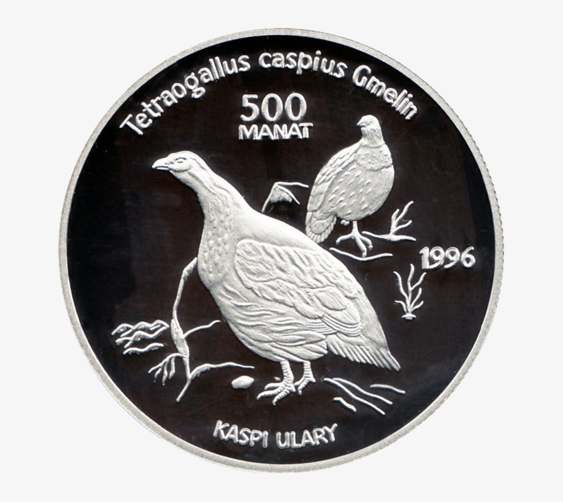 Tm 1996 500manat Tetraogallus B - Grouse, transparent png download