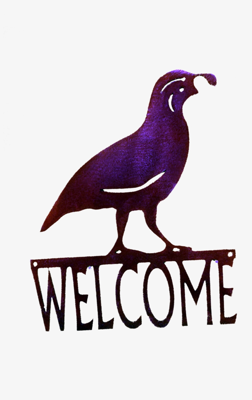 Quail Welcome-small Larger Image - Cartoon, transparent png download