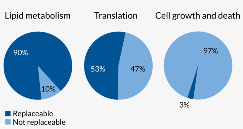 Gene Stats - Circle, transparent png download