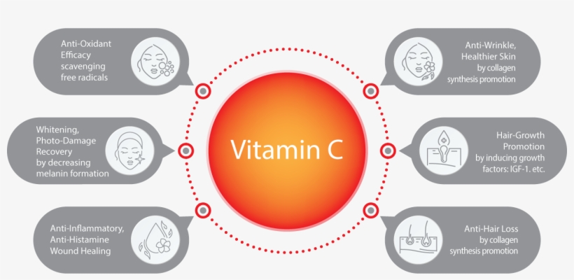 Leave A Reply Cancel Reply - Circle, transparent png download