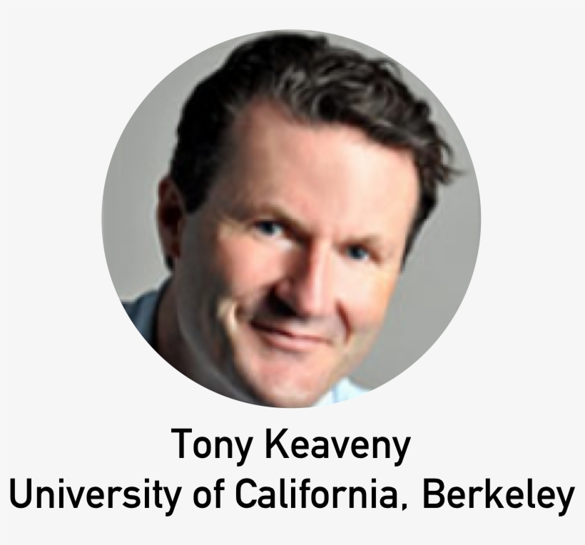 Tony Keaveny C - Photo Caption, transparent png download