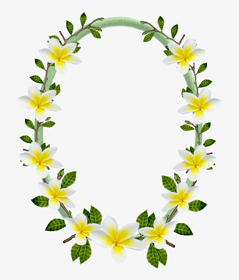 Lily Family, transparent png download