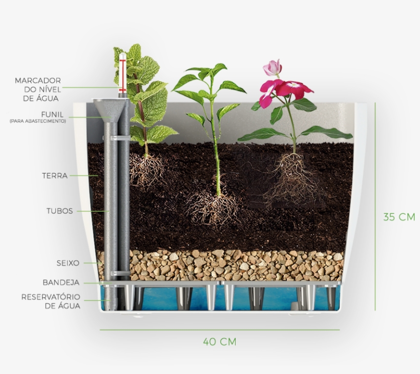 Produto Injetado Em Polipropileno Da Melhor Qualidade, - Bonsai, transparent png download