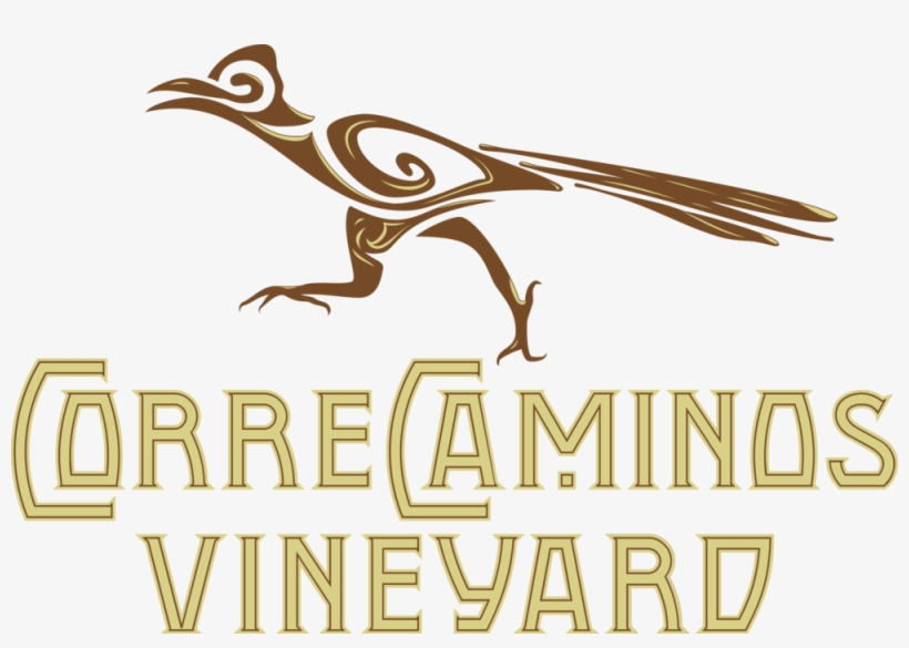 Correcaminos Vineyard Logo - Brown Pelican, transparent png download