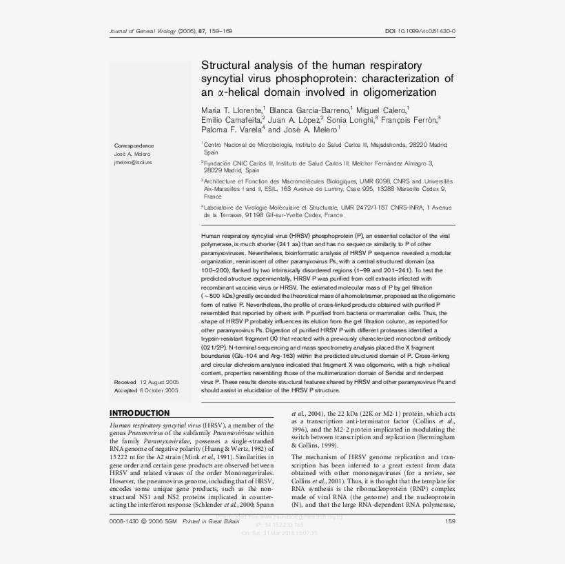 Structural Analysis Of The Human Respiratory Syncytial - Lambang Pmr, transparent png download