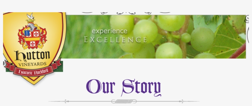 Osheader - Grape, transparent png download