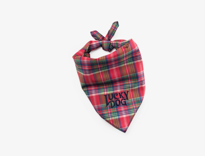 Lucky Dog Plaid Bandana - Pañoletas Para Perros Png, transparent png download