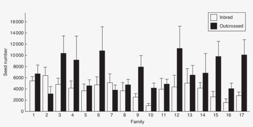 Mean Seed Number Of Inbred And Outcrossed Progenies - Musical Keyboard, transparent png download