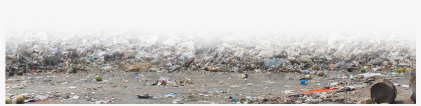 Who Collects Your Junk - Litter, transparent png download