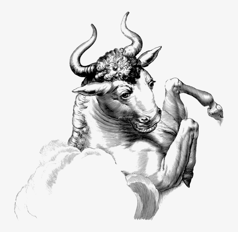 Youngevity Makes Move To Clean Up Balance Sheet - Taurus Constellation, transparent png download