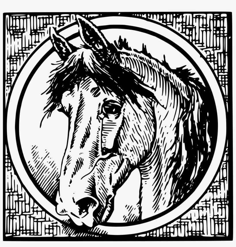 Horse Vintage Black White, transparent png download