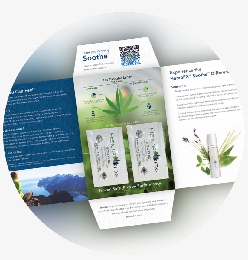 Youngevity Logo Png, transparent png download