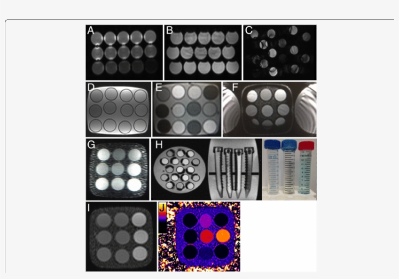 Artifact Examples In Earlier Prototypes And Final T1mes - Circle, transparent png download