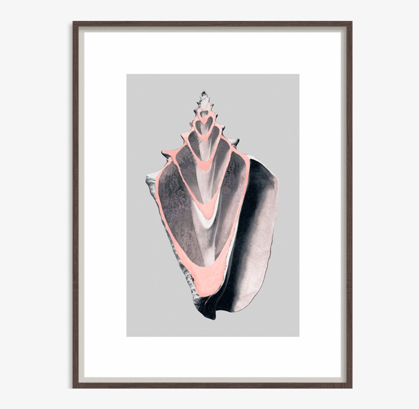 Bandhini Homewear Design Zoe Bios Creative No Leaf - Picture Frame, transparent png download