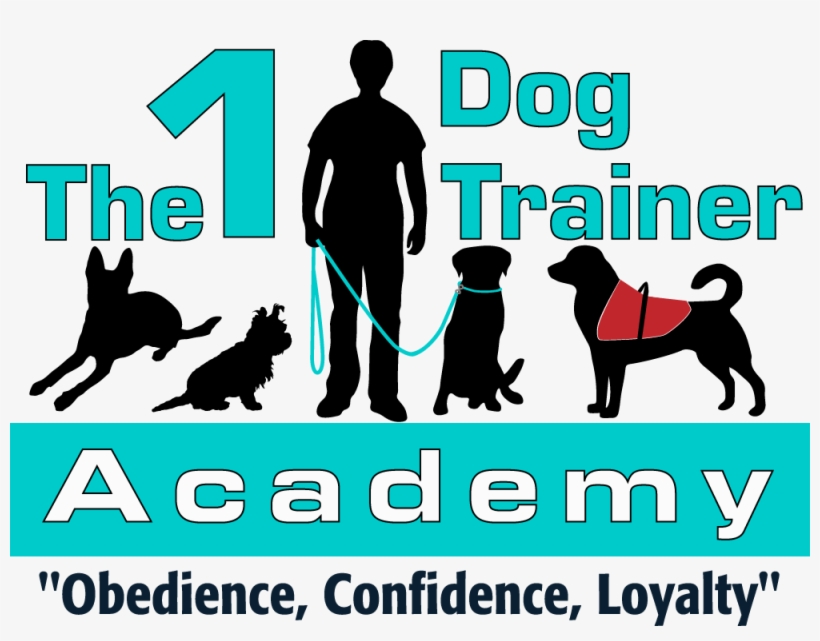 Service Animal Academy - Dog Catches Something, transparent png download
