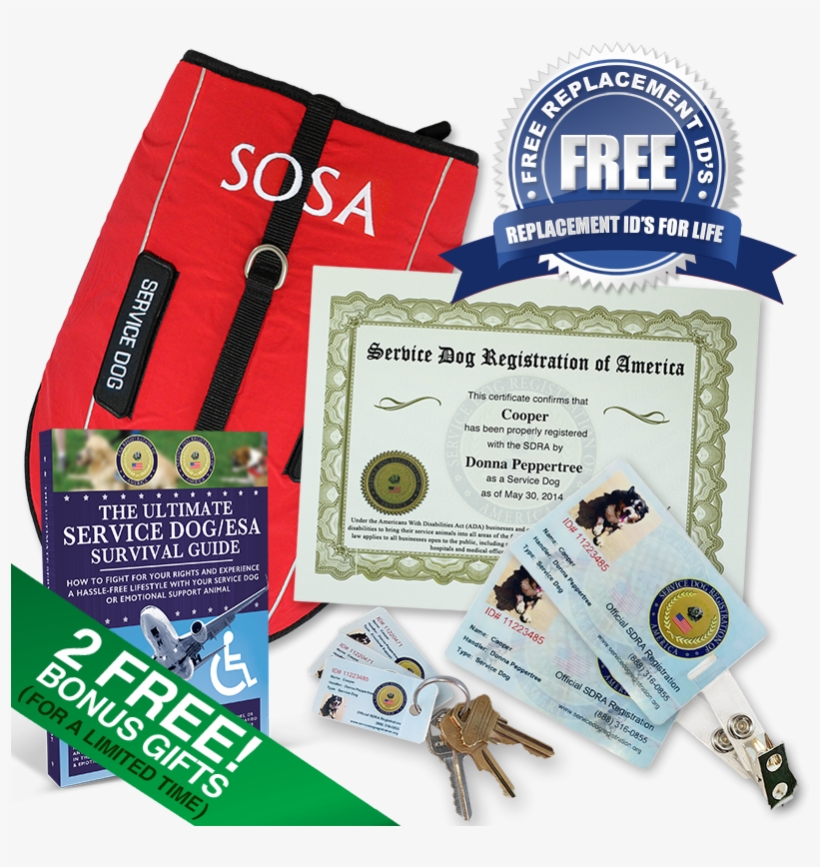 Ultimate Service Dog Lifetime Vip Kit, transparent png download