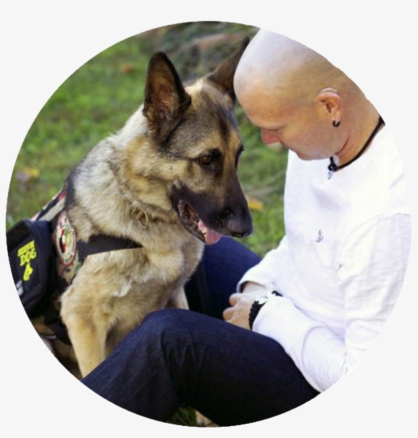 Service Dog Or Therapy Dog Classes - American Airline Large Dog, transparent png download