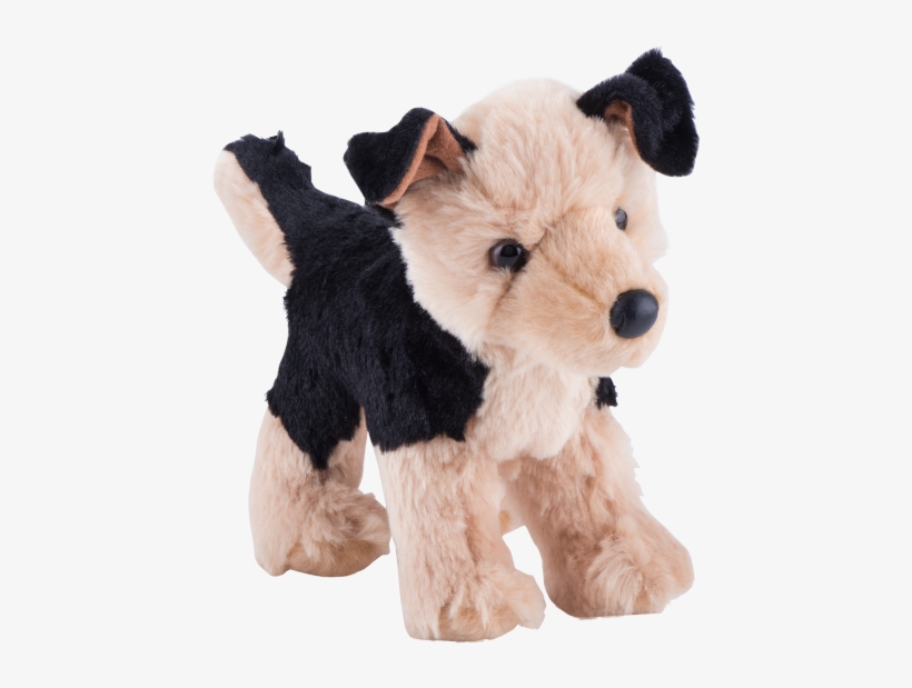 Roll Over Image To Zoom In - Wire Hair Fox Terrier, transparent png download