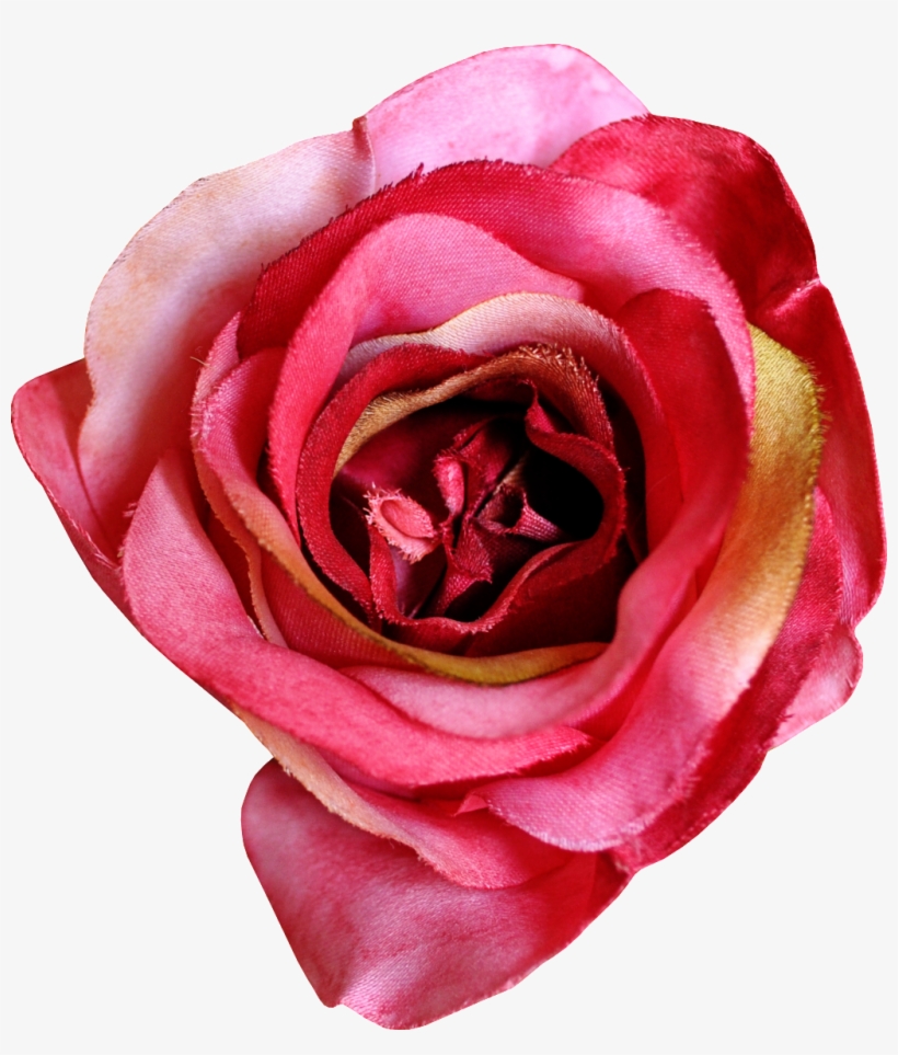 Hand Painted Gorgeous Flower Png Transparent - Garden Roses, transparent png download