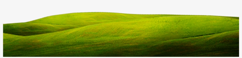 Green Close Up Wallpaper Grass Background 1920*800 - Grass, transparent png download