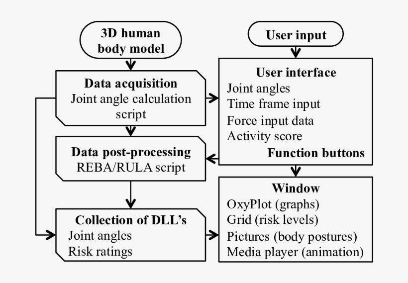 Automated Ergonomic Risk Assessment Framework - Number, transparent png download