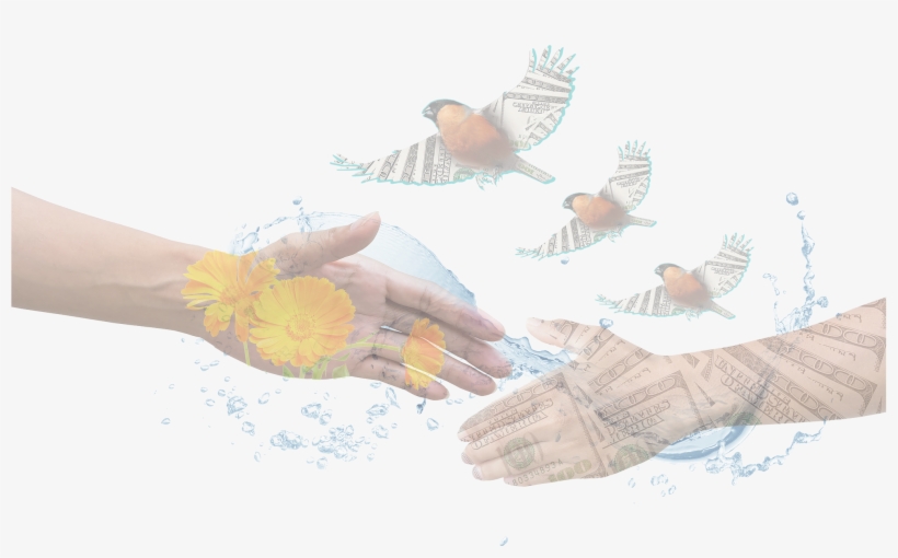 Jim - Patchwork, transparent png download