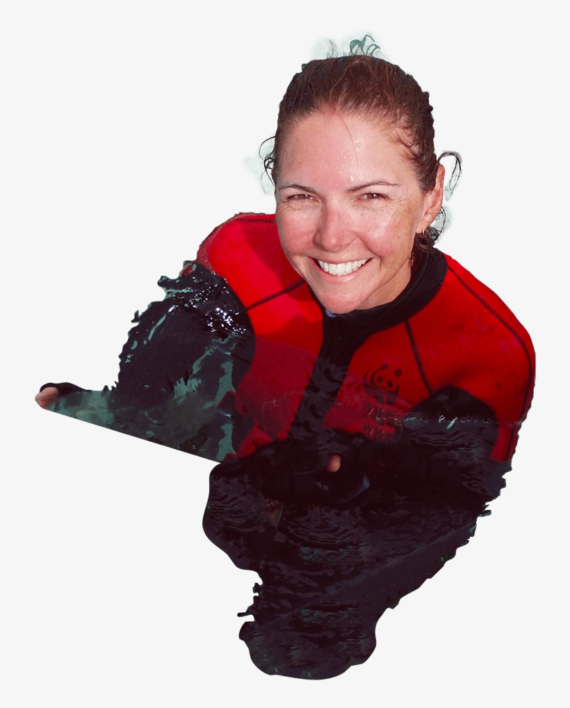 John Parmenter / Wwf-aus - Fun, transparent png download