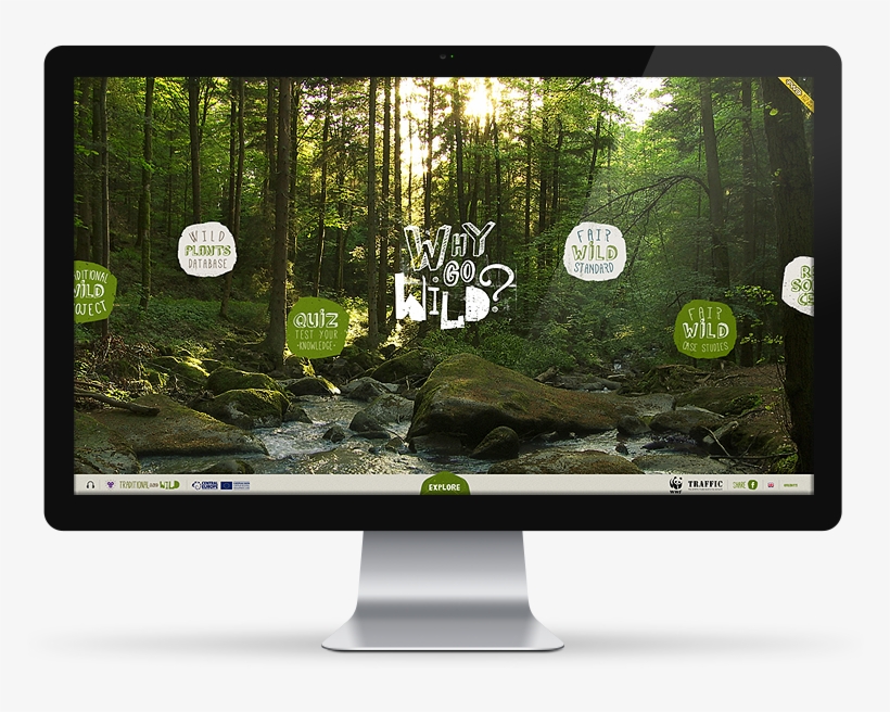 Computer Monitor, transparent png download