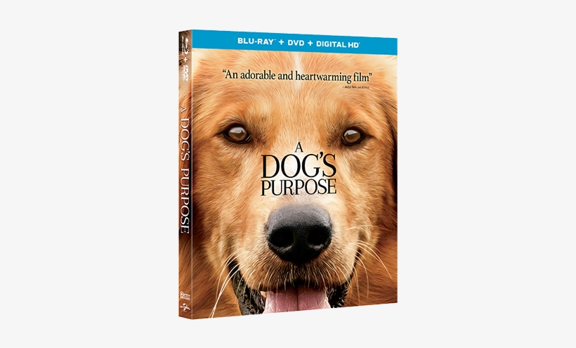 Enter To Win A Dog's Purpose On Blu-ray - Dog's Purpose 2017 Bluray, transparent png download