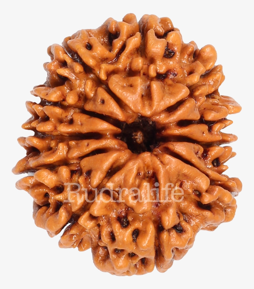 Click To Zoom - Chocolate, transparent png download