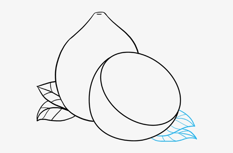 How To Draw Lemon - Line Art, transparent png download